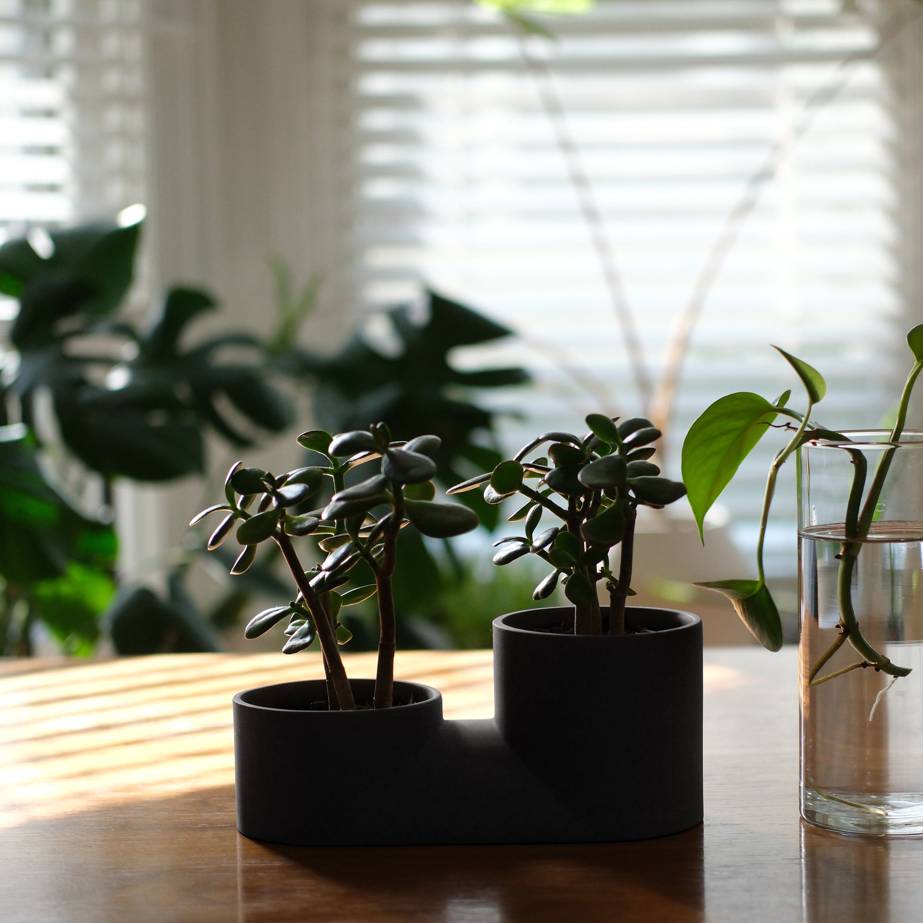 Double Planter Pot – 10" W × 4" D × 5" H