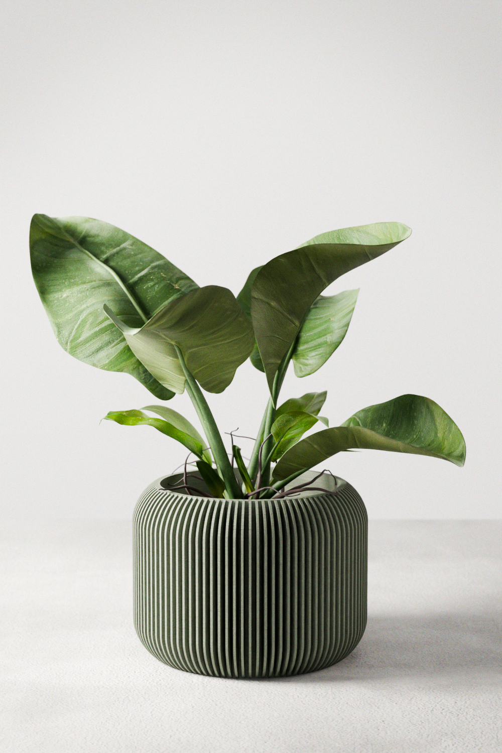Orbis Planter