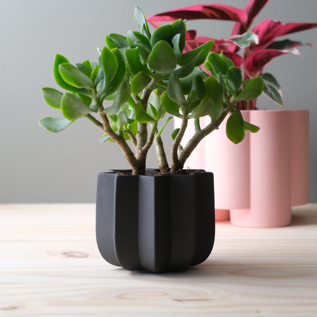 Wrap Planter - 4 sizes