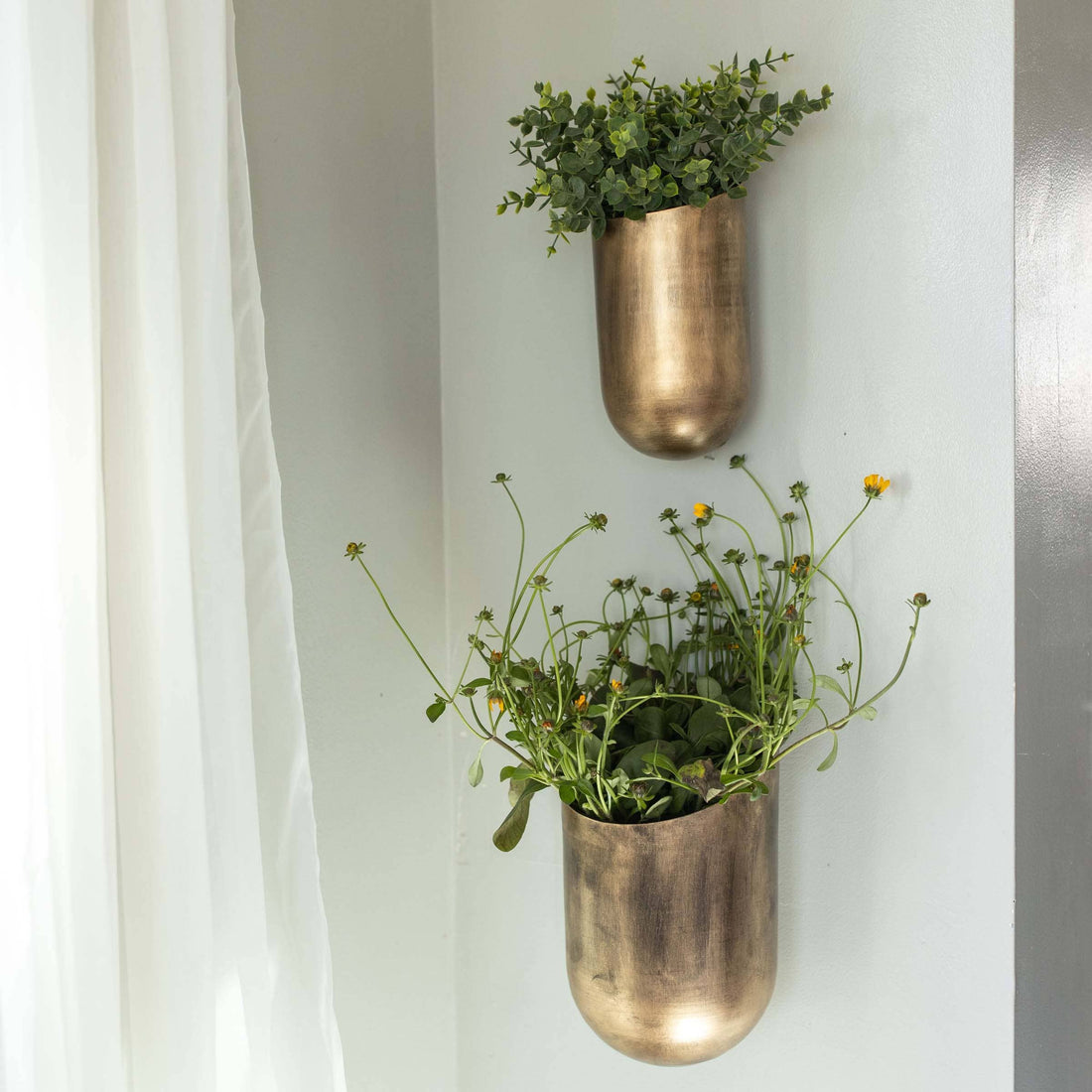 Set of 2 Brass Cylinder Wall Planter Pots