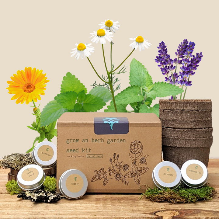 "Grow an Herb Garden" Herbal Teas Seed Kit